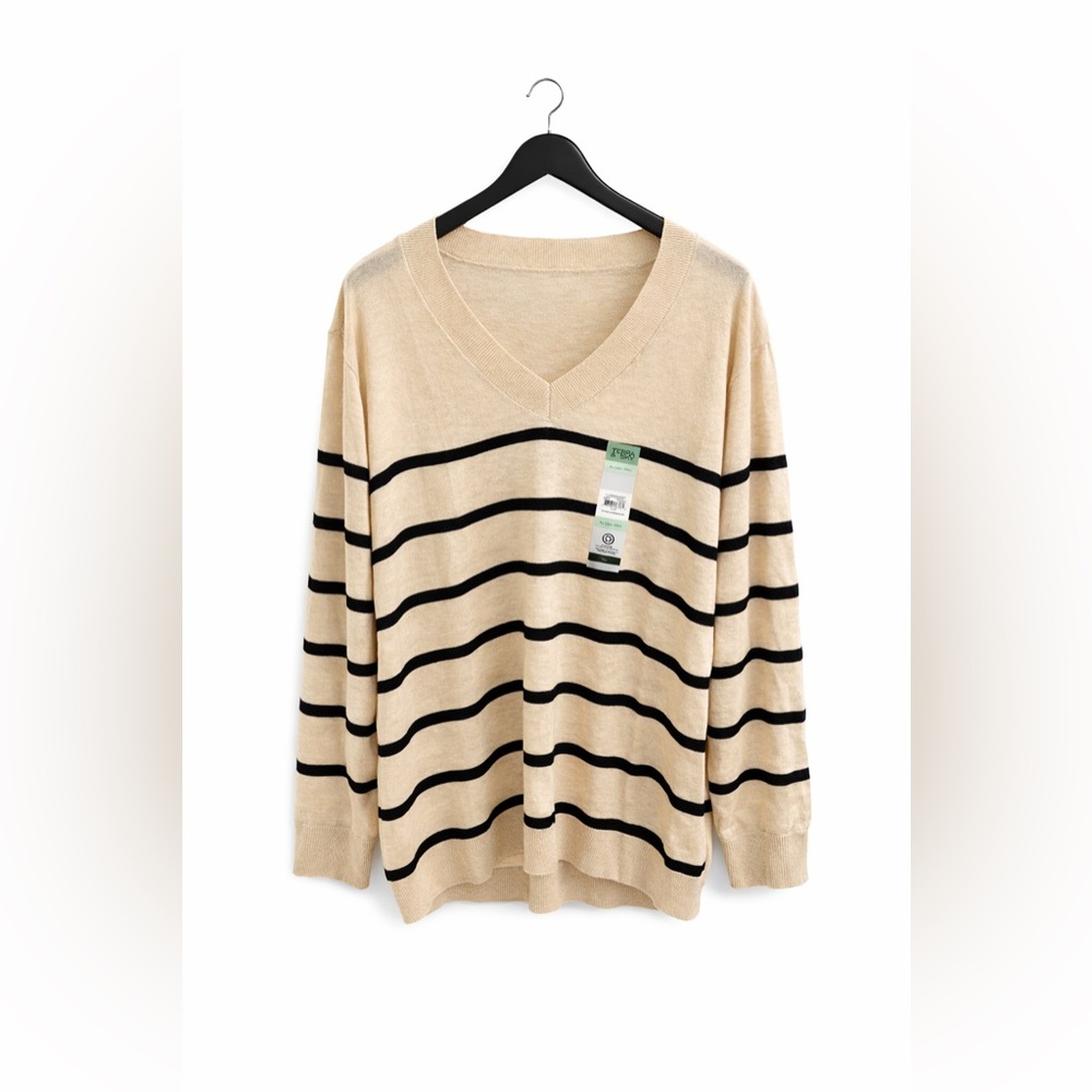 Terra & Sky Beige V-Neck Sweater